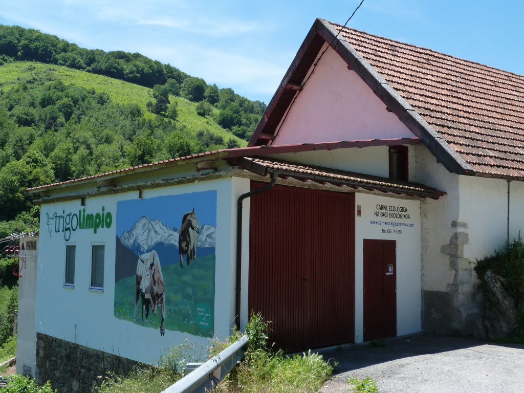 TRIGO LIMPIO (ZARAITZU, AEZKOA, ARTZIBAR, BAZTAN) Eskualdeko abeltzainek ekoitzitako haragi ekologikoa modu zuzenean saltzeko proiektua. Ariben haragia zatikatzeko gela bat eta bertantxe zuzenean saltzeko tokia egokitu, eta webgune bat sortu.