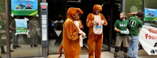 Apr+¿s leur entretien avec le directeur, les kangourous ressortent de la banque