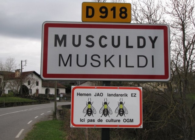 Muskildi