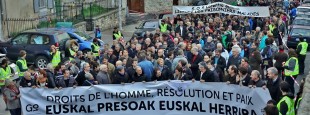 Baionako Manifestaldia, Urtarrilaren 9an (Irudien Artzaina)
