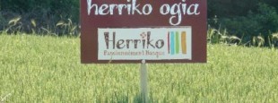HerrikoOgia1