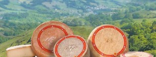 "Un important développement de ces unités de méthanisation pourrait mettre à mal toute la dynamique construite autour de la démarche d’appellation Ossau-Iraty"
